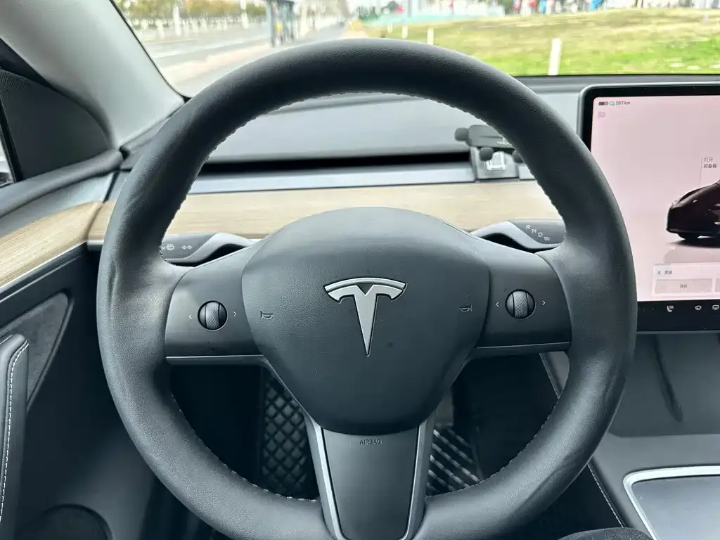 Tesla Model Y 2022 из CN, фото 4