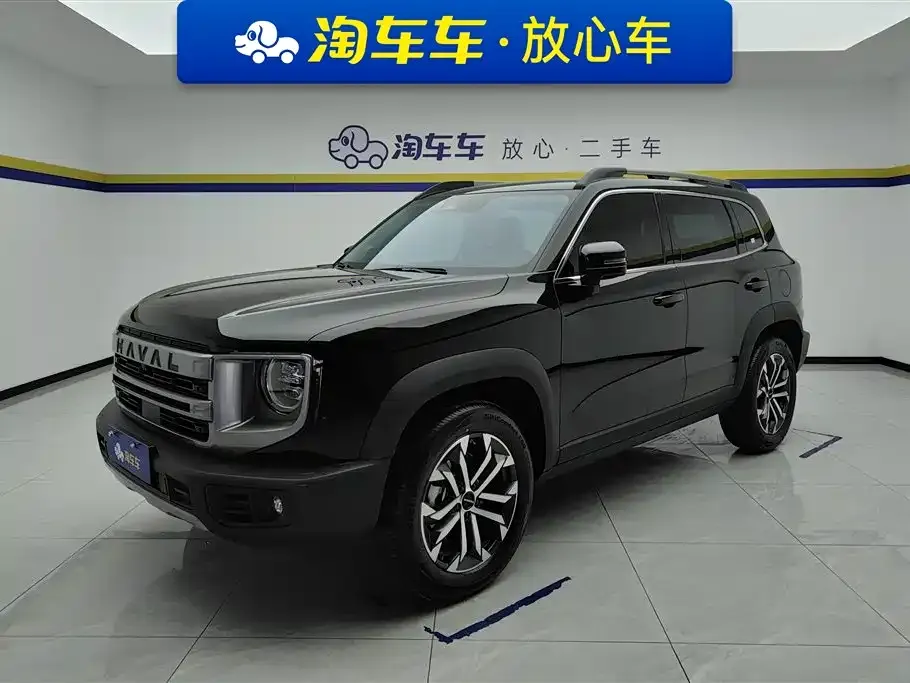 Haval Big Dog 1.5T DCT Border Collie