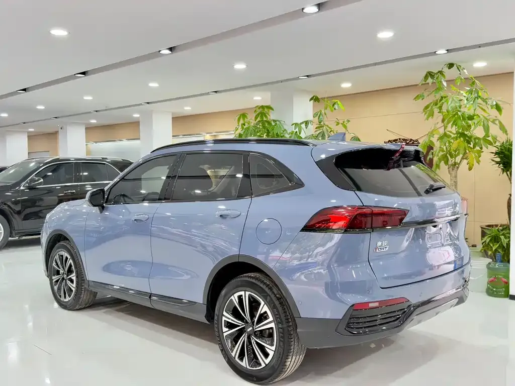 Wey Latte DHT-PHEV 2022 из CN, фото 10