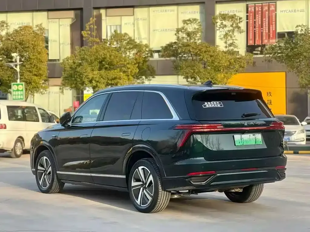Wey Lanshan 2024 из CN, фото 8
