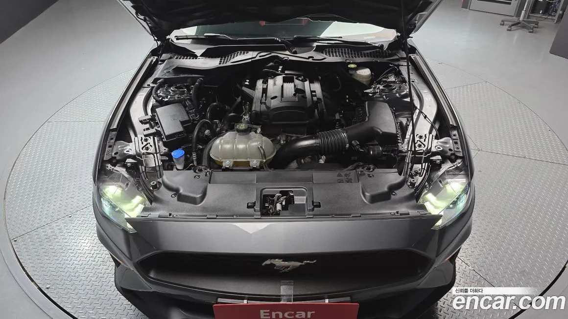 Ford Mustang 2023 из KR, фото 9