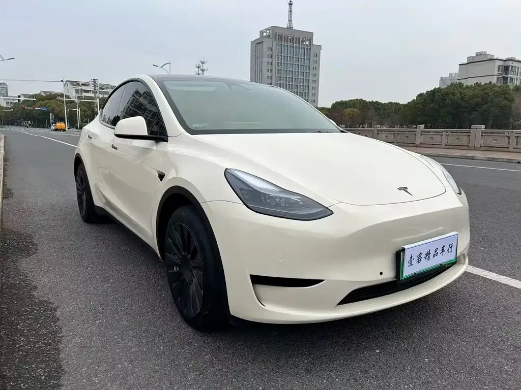 Tesla Model Y — фото 1