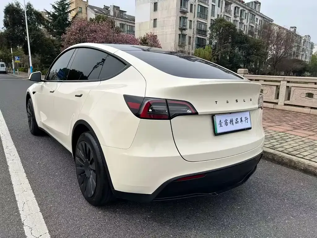 Tesla Model Y — фото 10