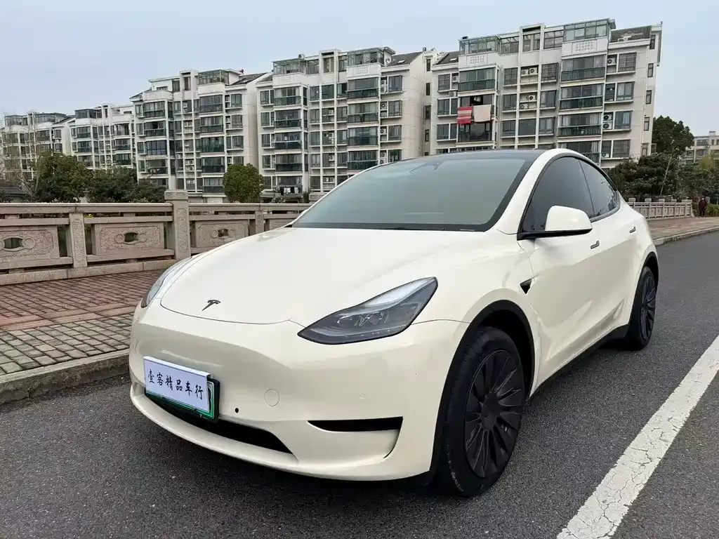 Tesla Model Y — фото 3