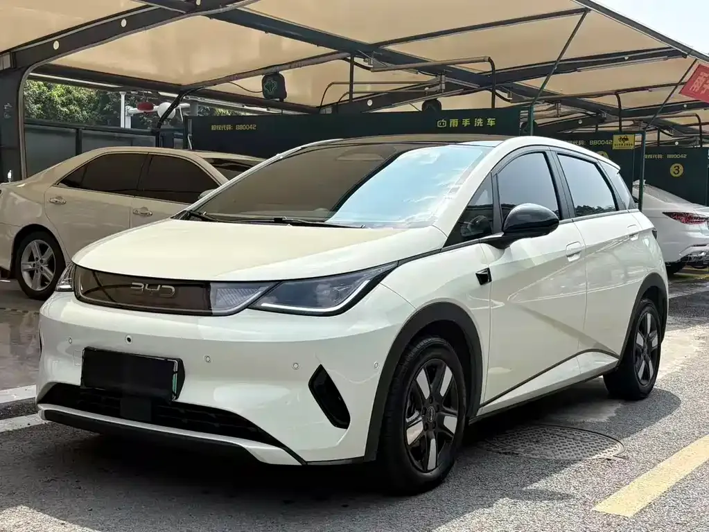 BYD Dolphin 2025 из CN, фото 1