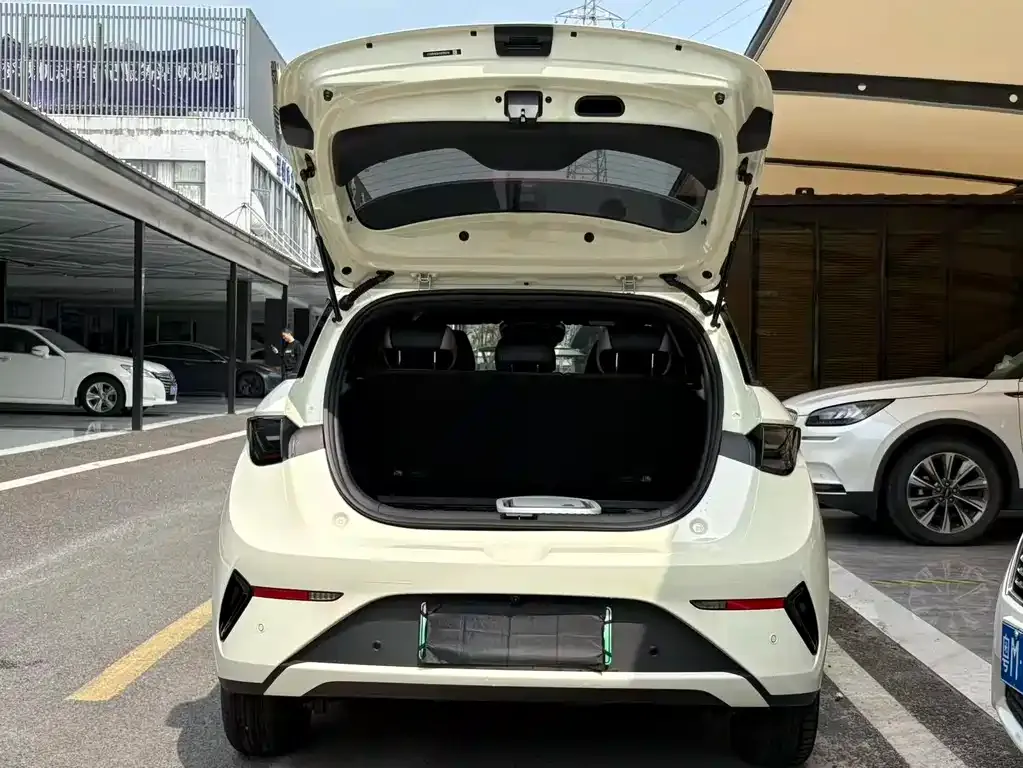 BYD Dolphin 2025 из CN, фото 7