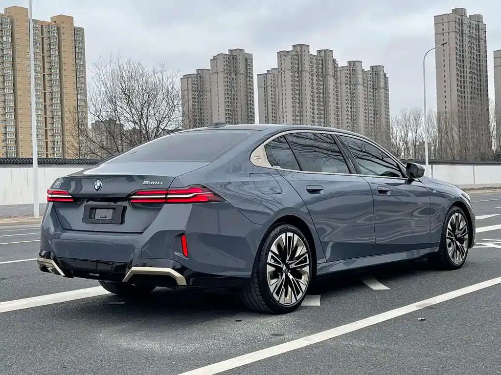 BMW 5 Series 2024 из CN, фото 8