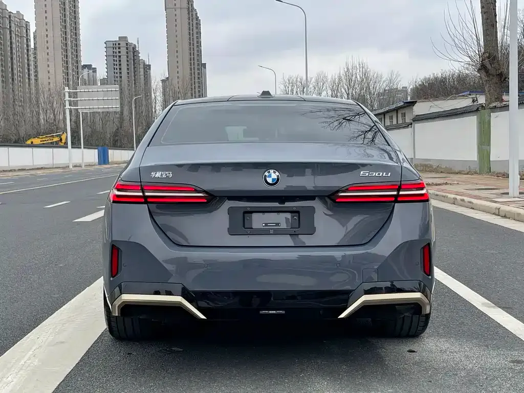 BMW 5 Series 2024 из CN, фото 2