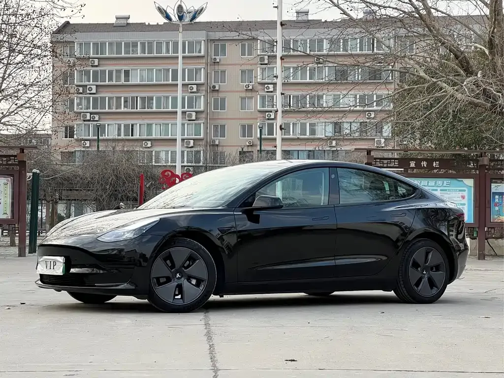 Tesla Model 3 2021 из CN, фото 1