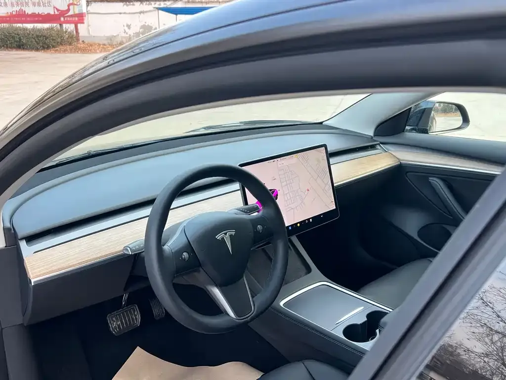 Tesla Model 3 2021 из CN, фото 5