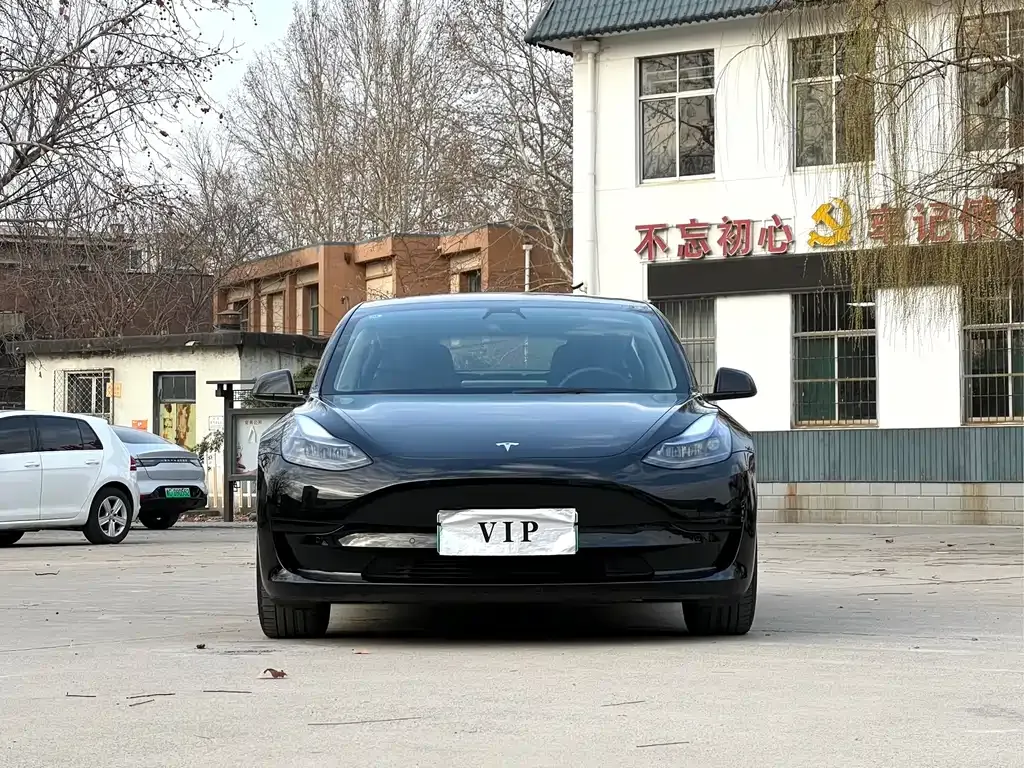 Tesla Model 3 2021 из CN, фото 8