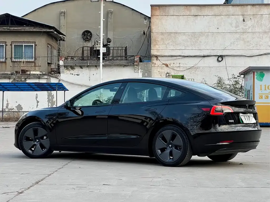 Tesla Model 3 2021 из CN, фото 4