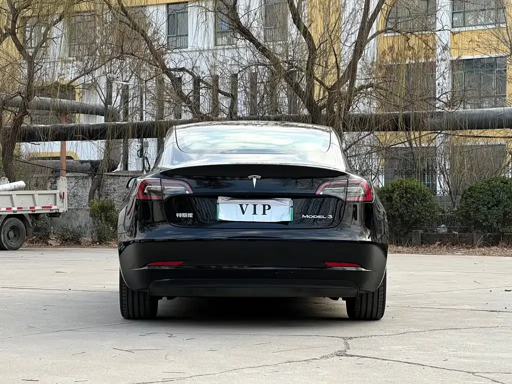 Tesla Model 3 2021 из CN, фото 7