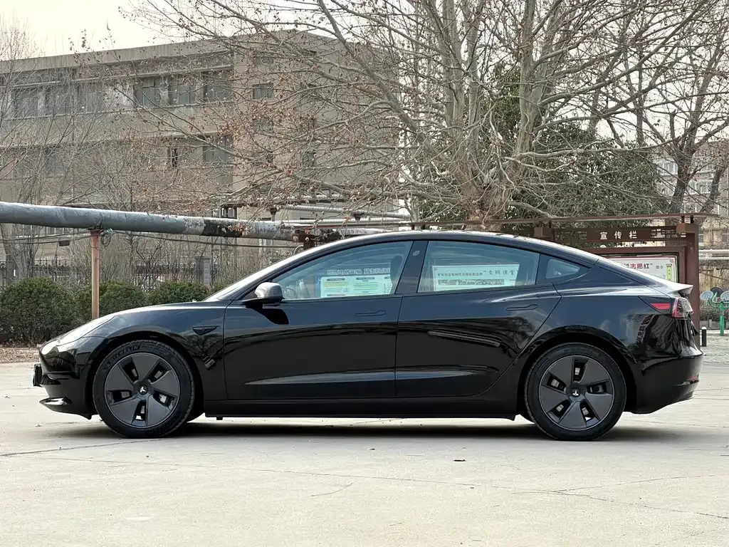Tesla Model 3 2021 из CN, фото 6