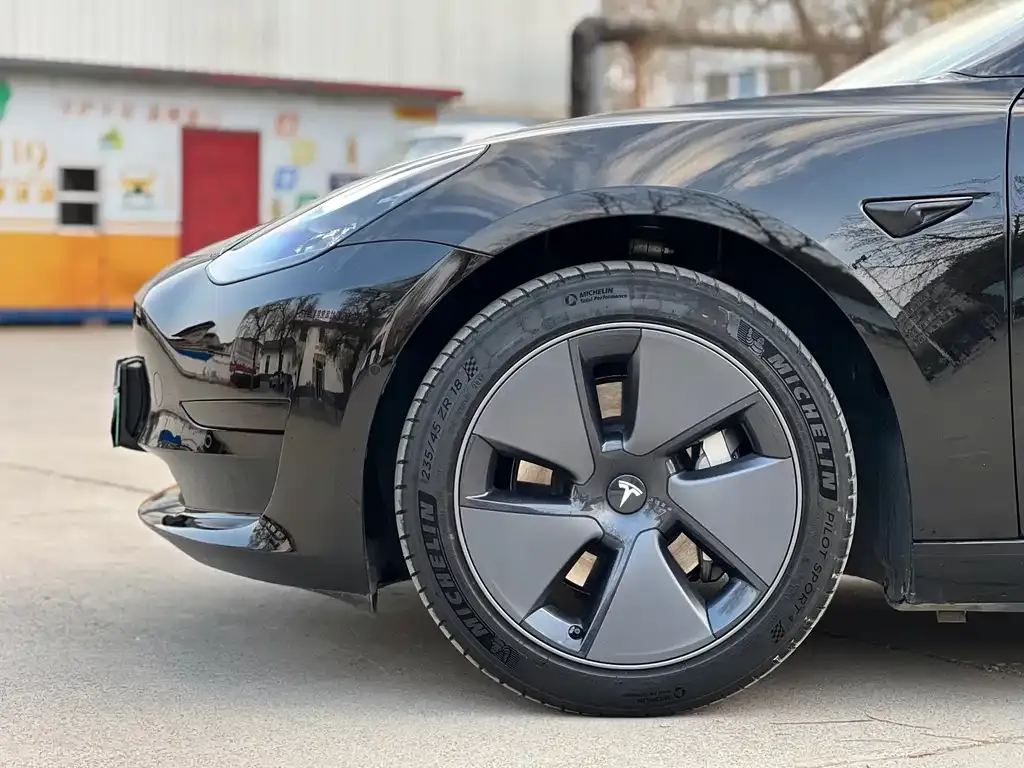 Tesla Model 3 2021 из CN, фото 3