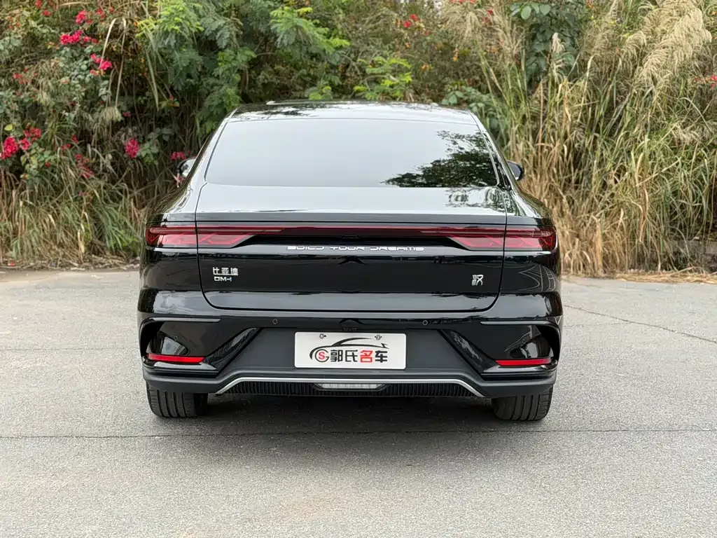 BYD Han 2024 из CN, фото 3