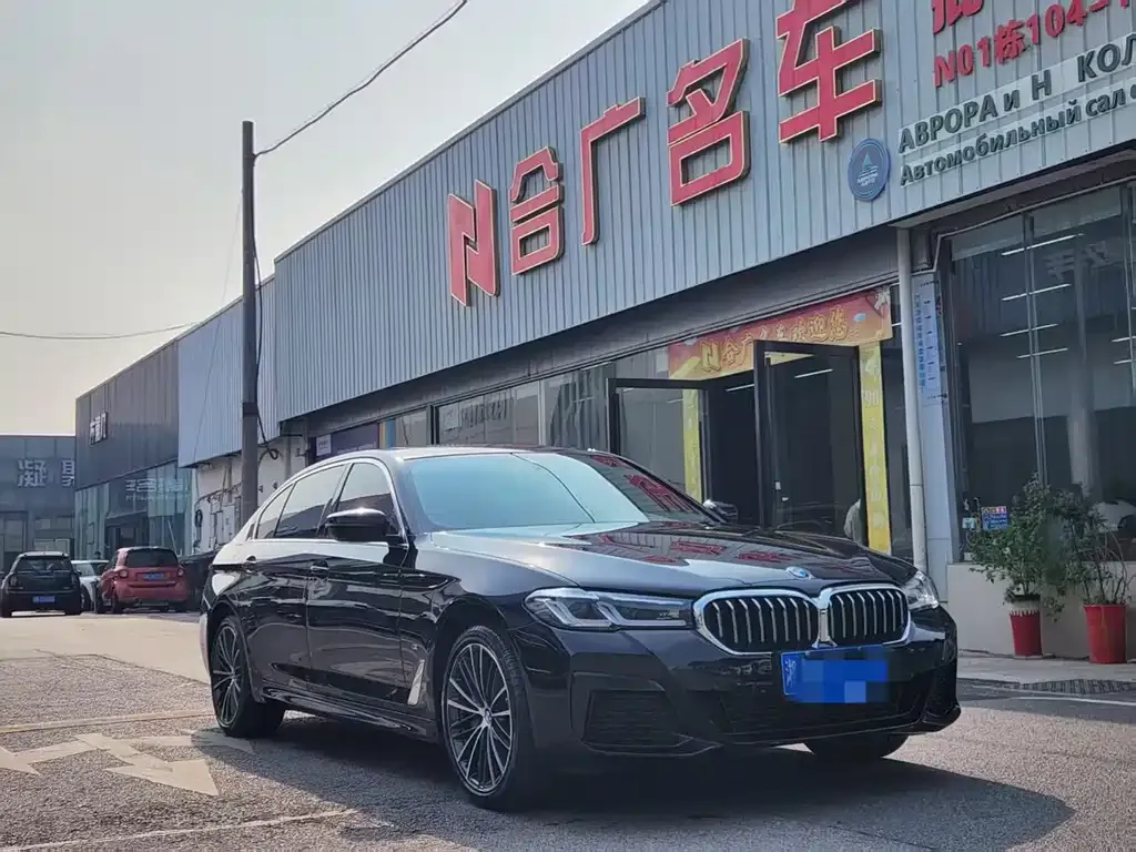 BMW 5 Series 2023 из CN, фото 5