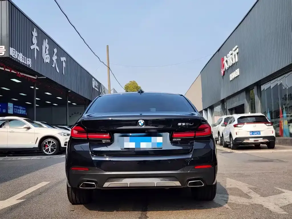 BMW 5 Series 2023 из CN, фото 7