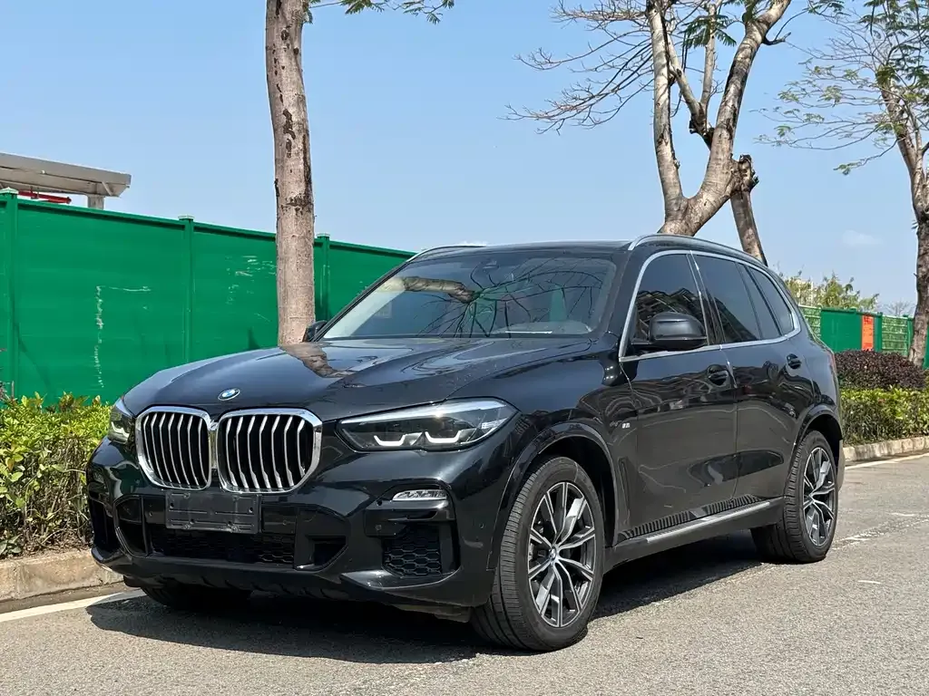 BMW X5 (Import) 2021 из CN, фото 1