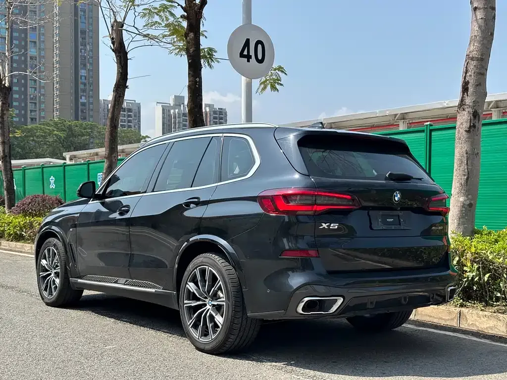 BMW X5 (Import) 2021 из CN, фото 5