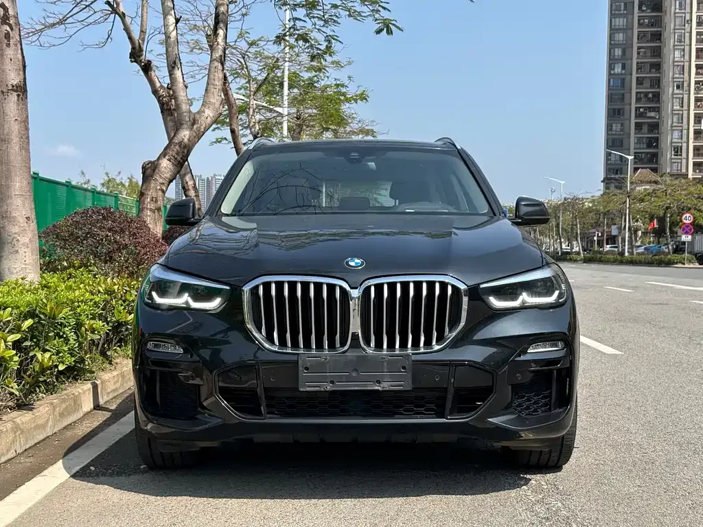 BMW X5 (Import) 2021 из CN, фото 6