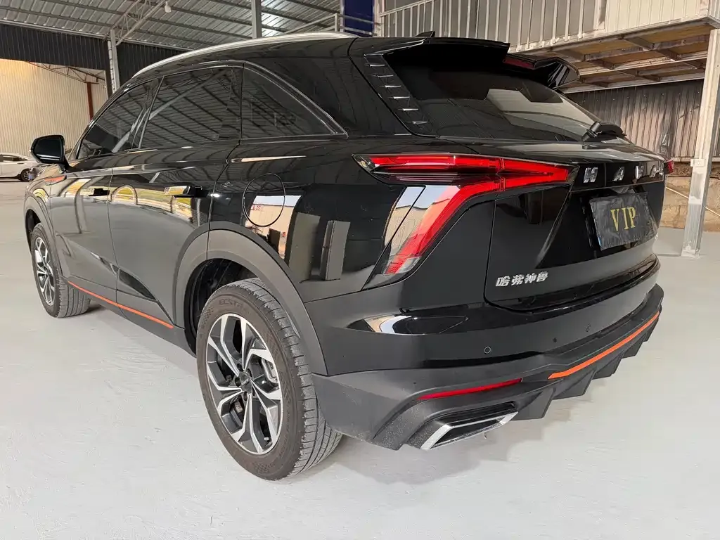 Haval Shenshou 2023 из CN, фото 6