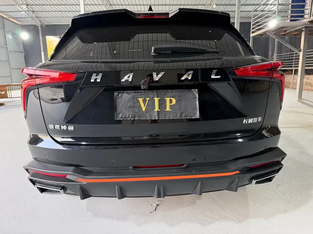 Haval Shenshou 2023 из CN, фото 5