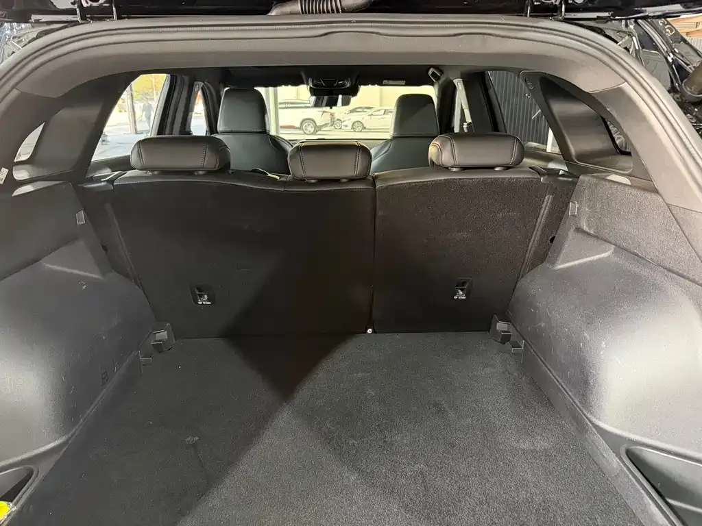 Haval Shenshou 2023 из CN, фото 2