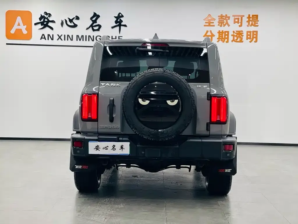 Tank 300 — фото 8