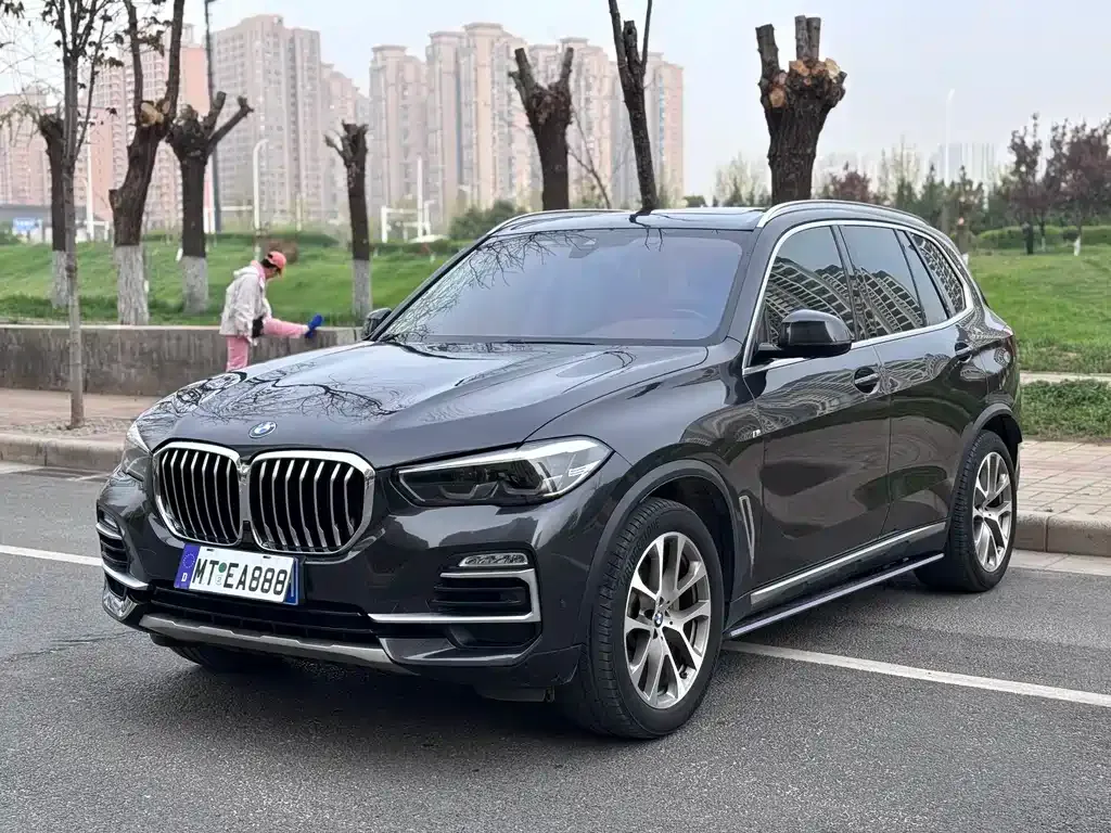 BMW X5 (Import) xDrive30i X Design
