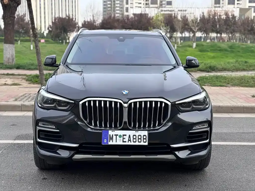 BMW X5 (Import) 2021 из CN, фото 6