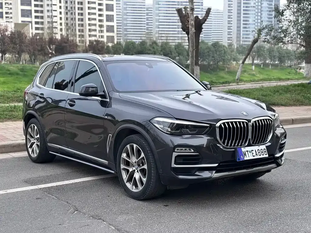 BMW X5 (Import) 2021 из CN, фото 4