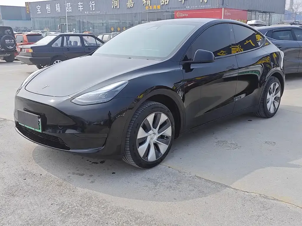 Tesla Model Y — фото 8