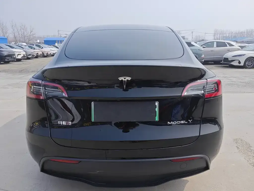 Tesla Model Y — фото 6