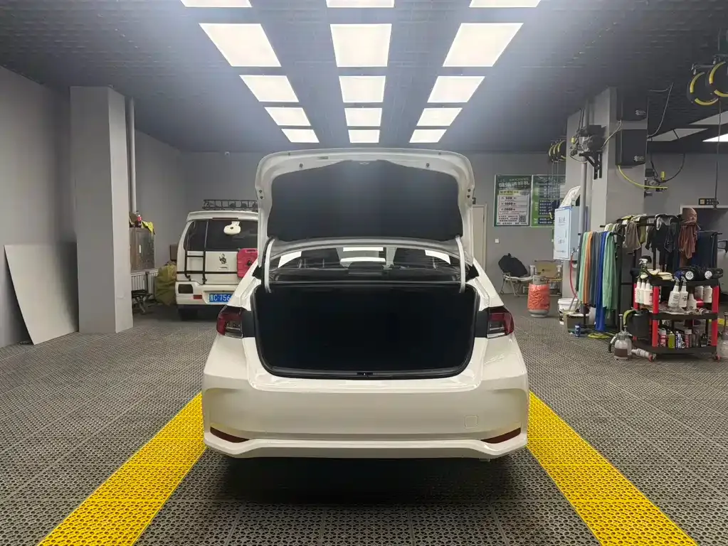 Toyota Corolla 2021 из CN, фото 9