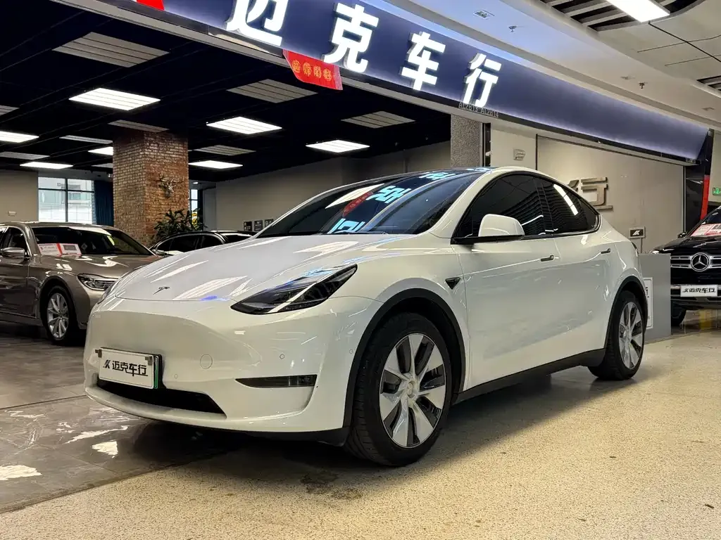 Tesla Model Y 2021 из CN, фото 1