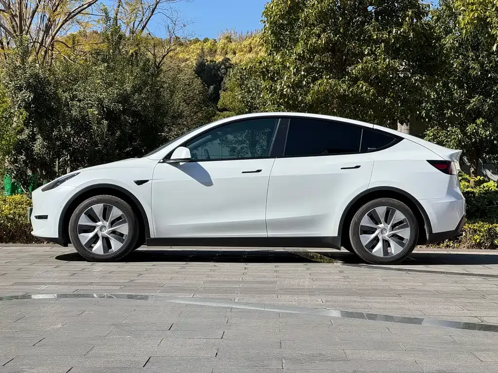 Tesla Model Y 2021 из CN, фото 10