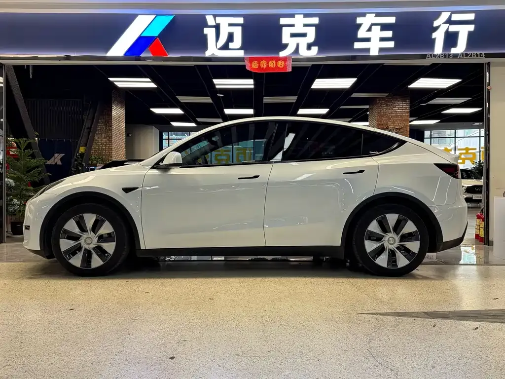 Tesla Model Y 2021 из CN, фото 2