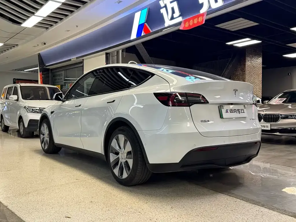 Tesla Model Y 2021 из CN, фото 4