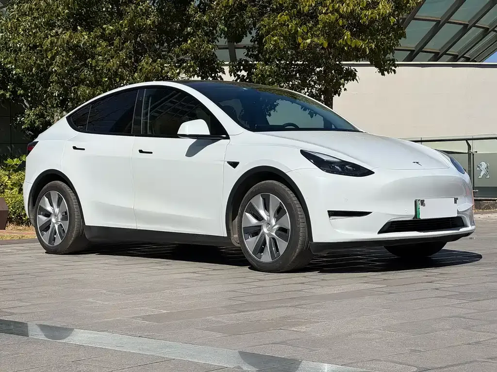 Tesla Model Y 2021 из CN, фото 3