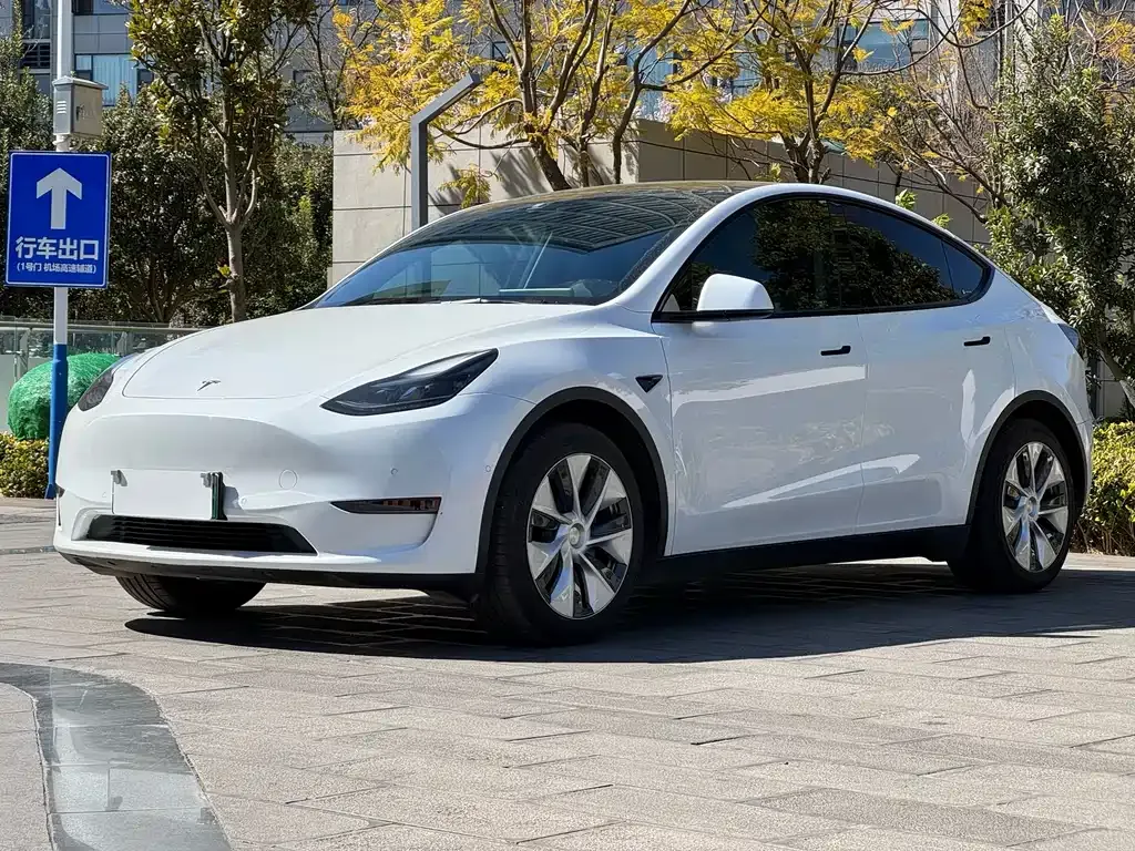 Tesla Model Y 2021 из CN, фото 5