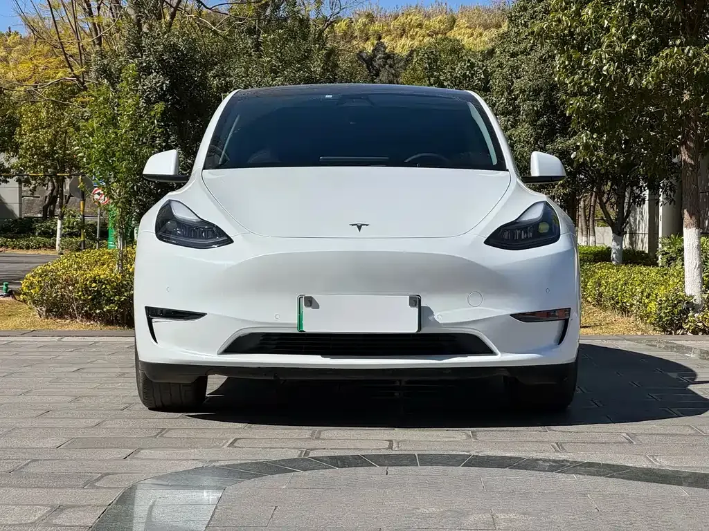 Tesla Model Y 2021 из CN, фото 6