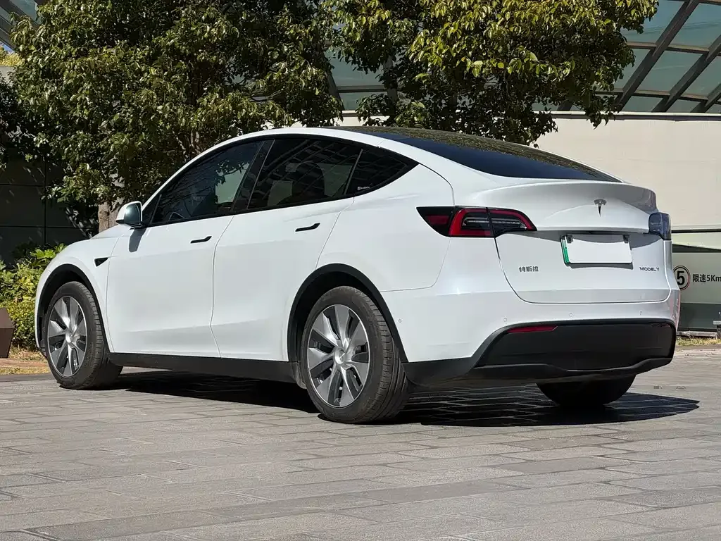 Tesla Model Y 2021 из CN, фото 7