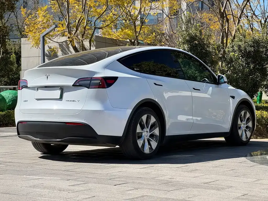 Tesla Model Y 2021 из CN, фото 8