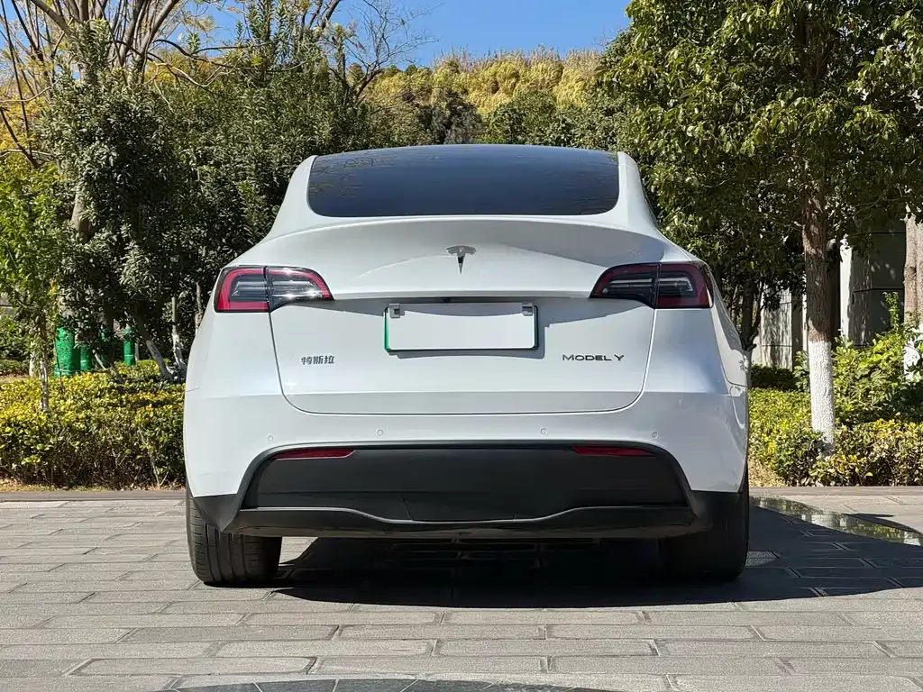 Tesla Model Y 2021 из CN, фото 9