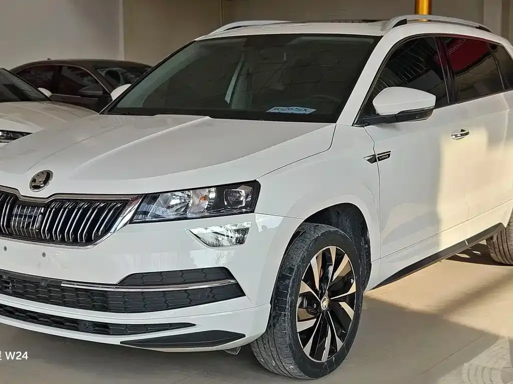 Skoda Karoq 2022 из CN, фото 3