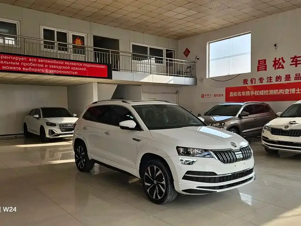 Skoda Karoq 2022 из CN, фото 9