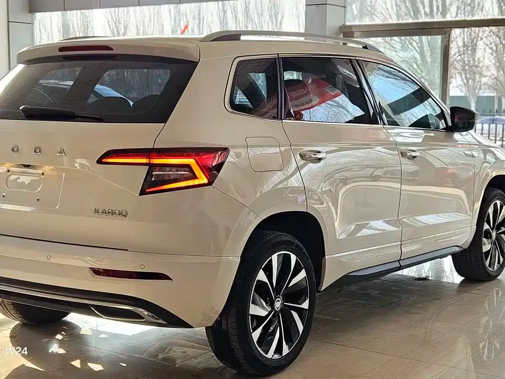 Skoda Karoq 2022 из CN, фото 5