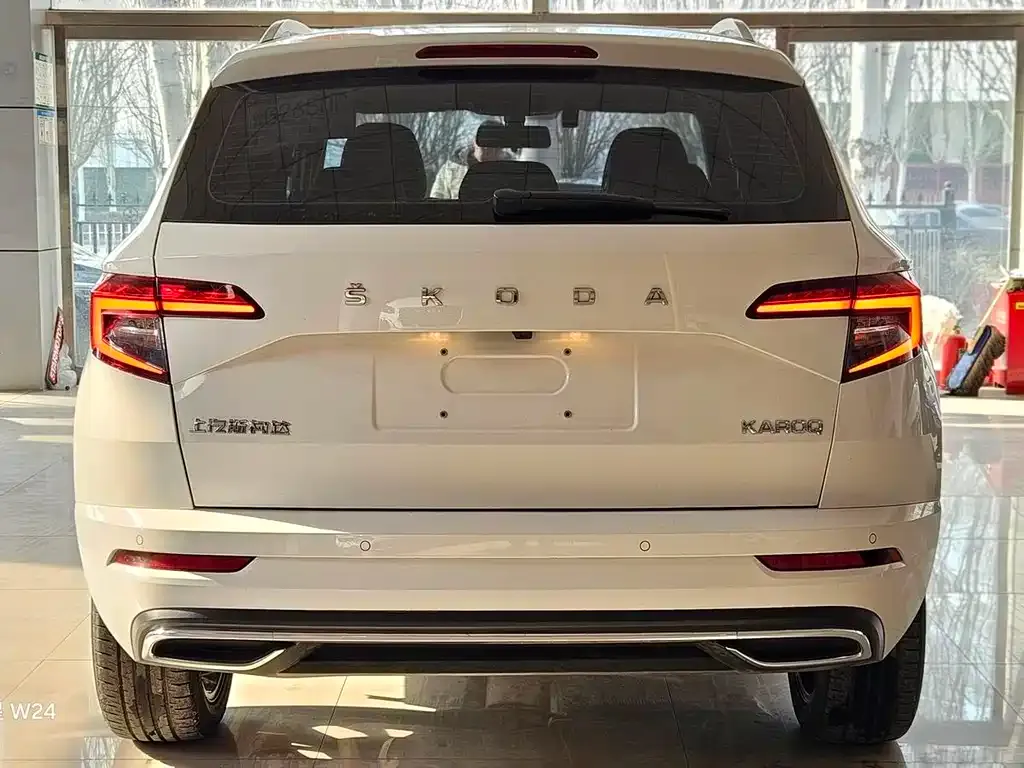 Skoda Karoq 2022 из CN, фото 2