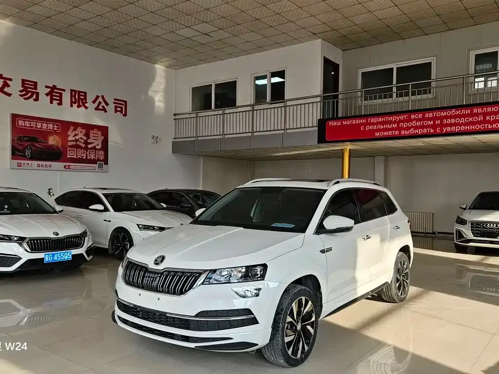 Skoda Karoq 2022 из CN, фото 6